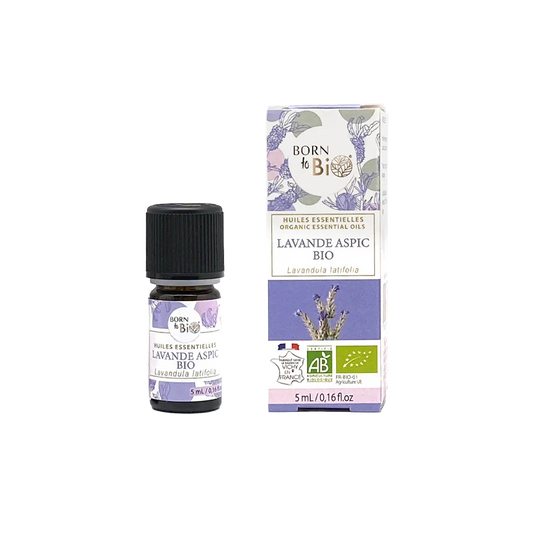 Certified Organic Spike Lavender Essential Oil