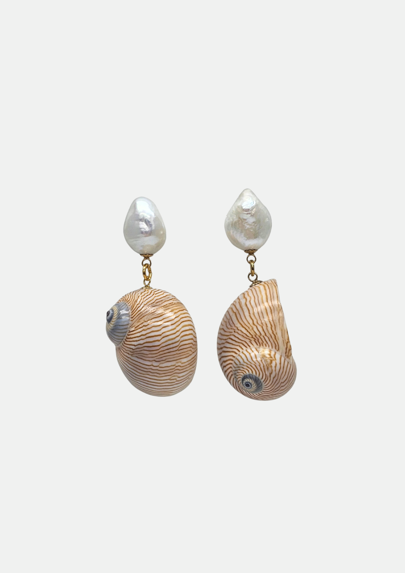 Boucles d'oreilles coquillage Line-0