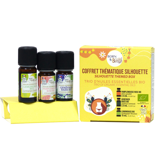 Coffret thématique silhouette