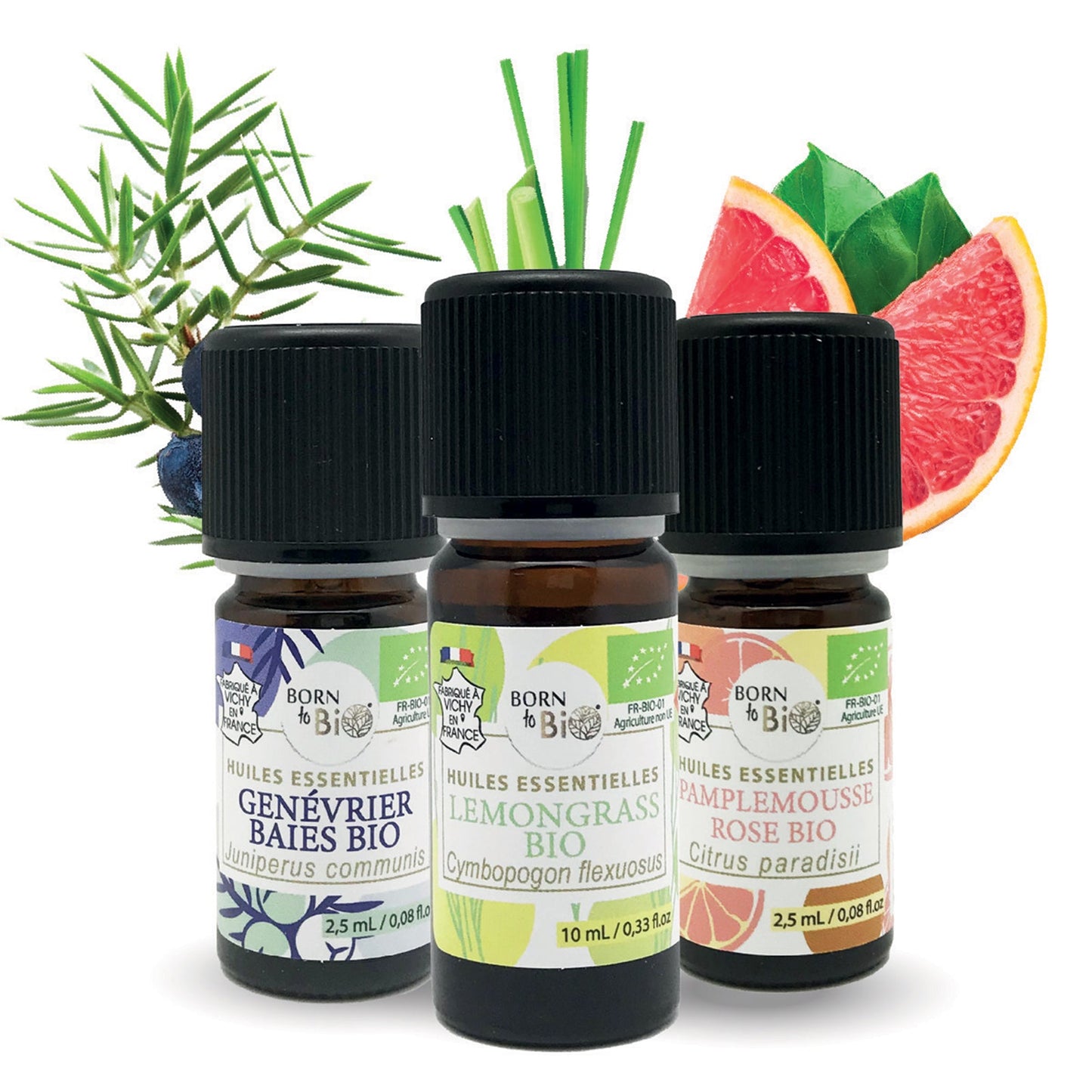 Coffret thématique silhouette