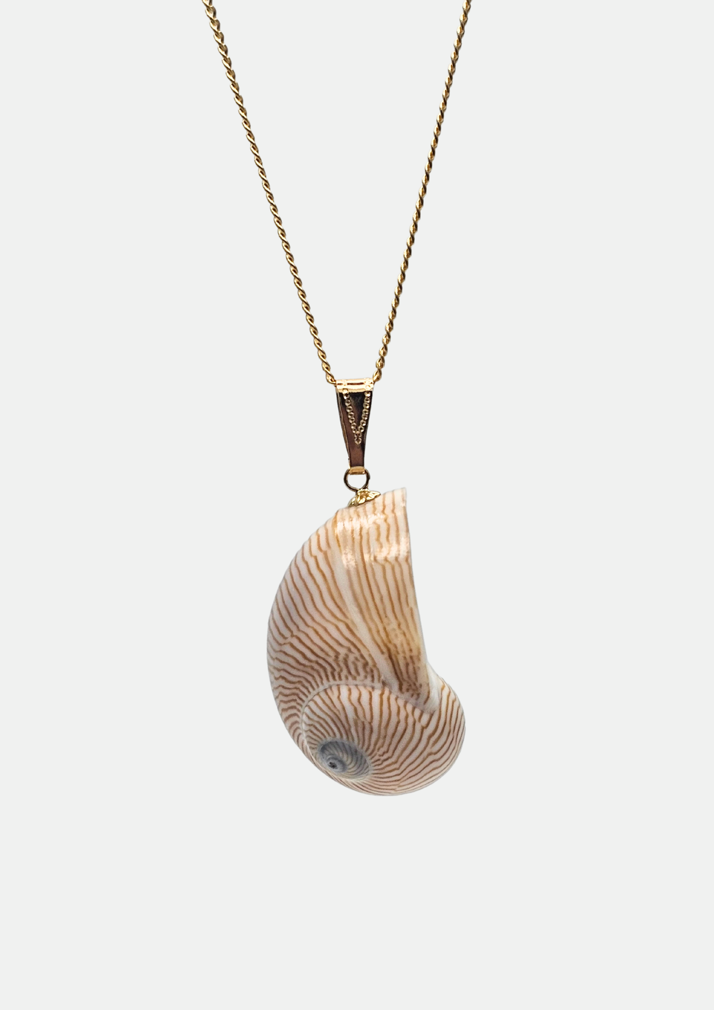 Collier coquillage Line-0