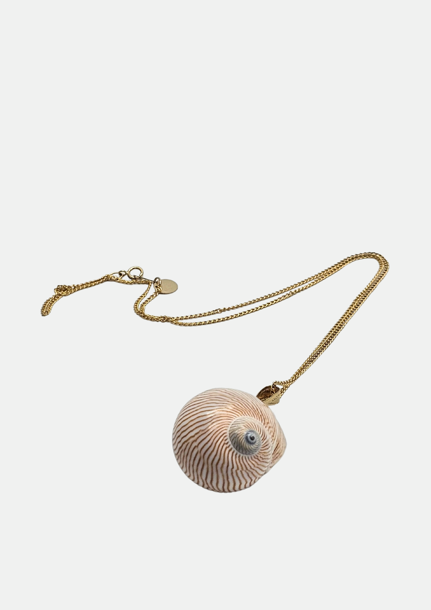 Collier coquillage Line-2