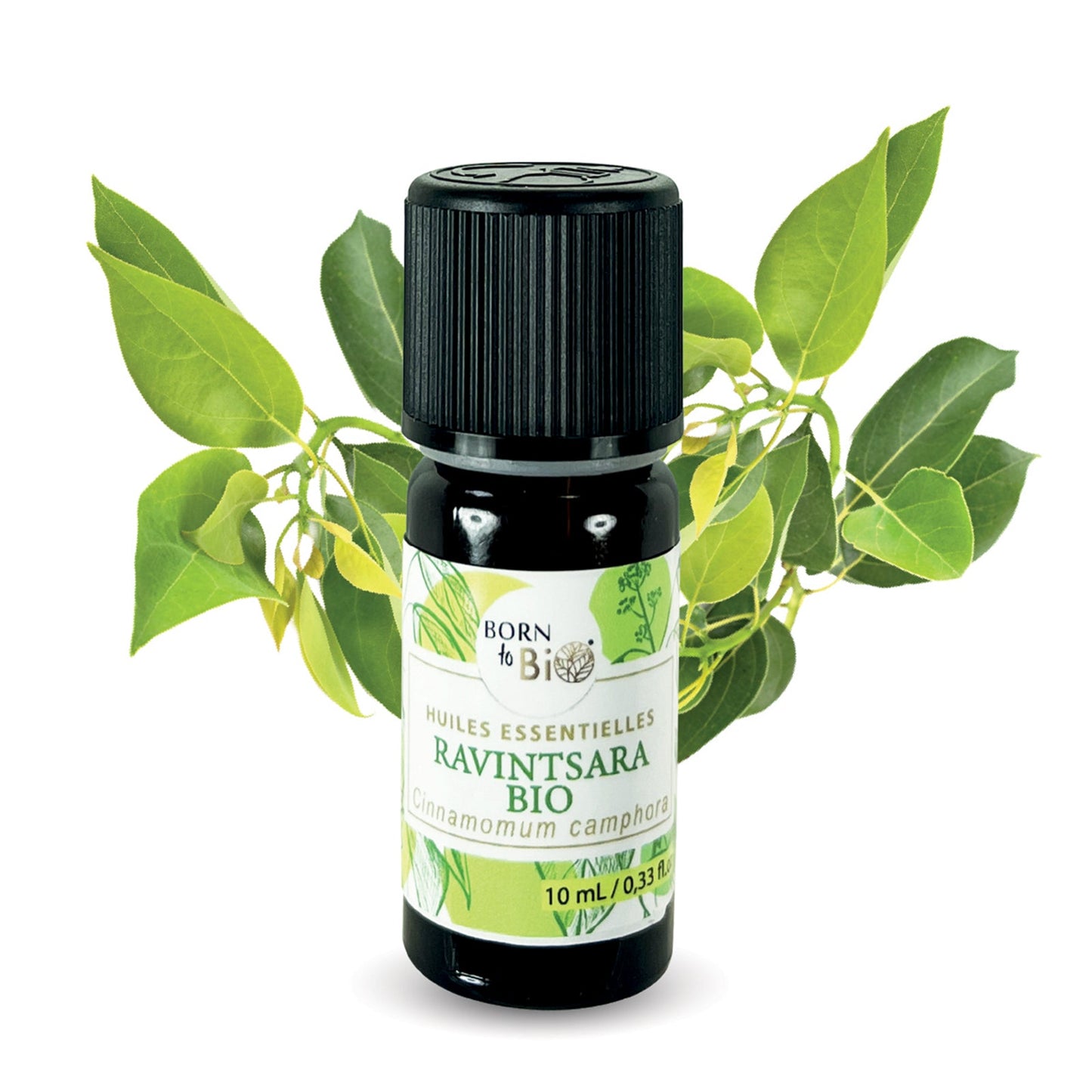 Certified Organic Ravintsara Essential Oil