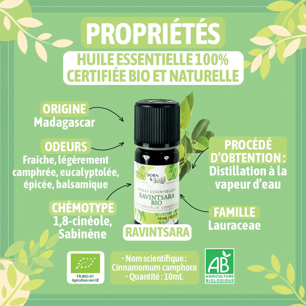 Certified Organic Ravintsara Essential Oil