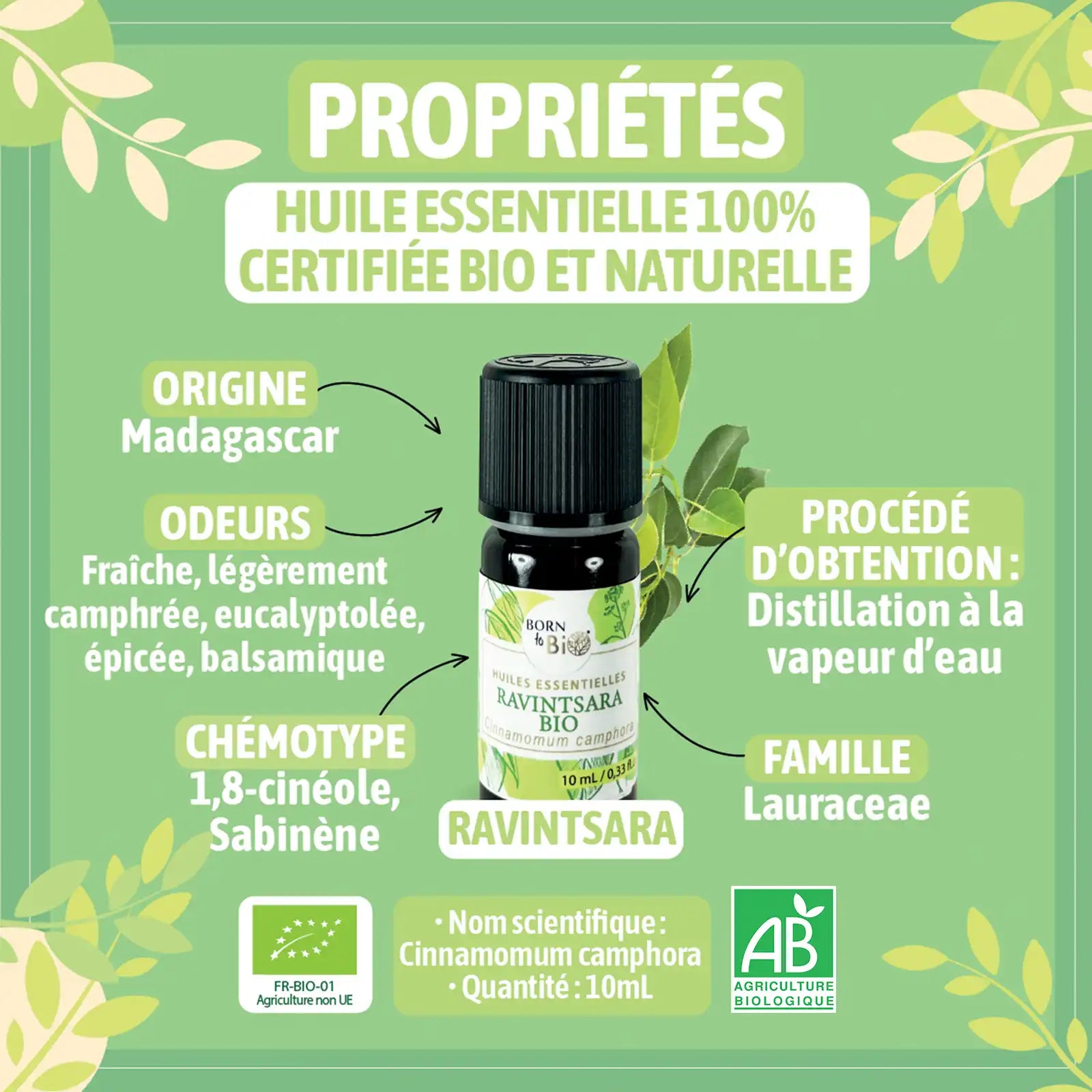 Certified Organic Ravintsara Essential Oil